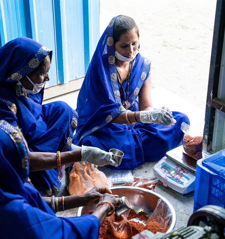 About Public Policy in Action Fellowships (PPIA)